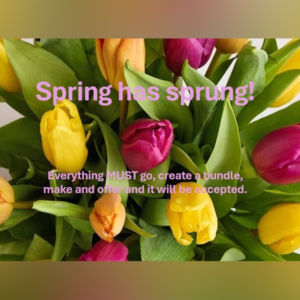 🌺 🌸 Spring Has Sprung, Closet Cleanout Time! 🌸🌺